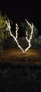 un árbol con luces en forma de corazón en Gokul farm house en Sasan Gir