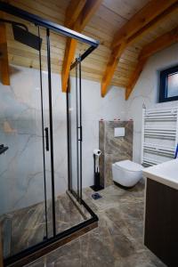 a bathroom with a glass shower and a toilet at Vila Marija HP in Han Pijesak