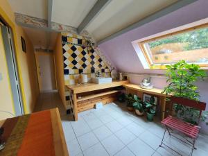 an attic room with a sink and plants in it at Villa Finistère proche plage in PloÃ©ven
