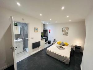 a bedroom with a bed and a sink and a television at Cosy Studio near Emirates Stadium in London