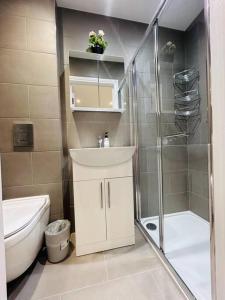 a bathroom with a toilet and a sink and a shower at Cosy Studio near Emirates Stadium in London