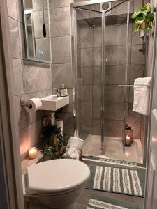 ein Bad mit einer Dusche, einem WC und einem Waschbecken in der Unterkunft Flat in Victorian West Kensington Mansion in London