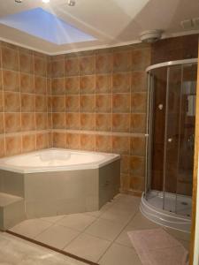 W łazience znajduje się wanna i prysznic. w obiekcie Amplia habitación con Jacuzzi w mieście Valdivia