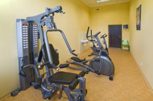 Fitness centrum a/nebo fitness zařízení v ubytování Hotel Zámeček