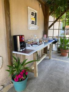 a kitchen with a counter with a microwave and flowers at Les Jonquilles in Domme +45 photos