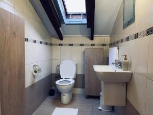 a bathroom with a toilet and a sink and a window at ofrynio kavalas Martin House in Karianí +38 photos