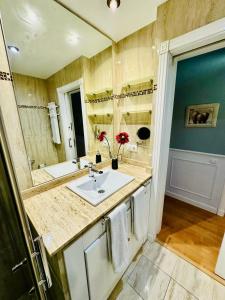 a bathroom with a sink and a large mirror at Apartamento Turístico Pizarro in Mérida