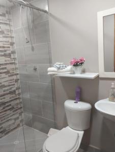 a bathroom with a shower and a toilet and a sink at APARTAMENTO LIVING en La CEJA in La Ceja