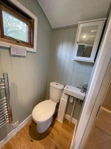 Forest View Shepherd Hut في Ewhurst: حمام صغير مع مرحاض ومغسلة