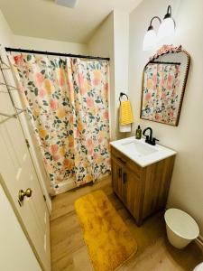 Hanceville的住宿－Serenade Cottage in the Country，一间带水槽和淋浴帘的浴室