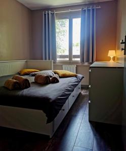 a bedroom with a bed with blue curtains and a window at Cergy vers Paris 4-6 personnes in Cergy