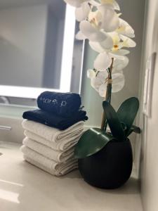 泰森斯角的住宿－Premier Escape Tysons 4 Beds，一堆毛巾和一堆毛巾旁边的植物