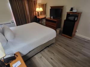 a hotel room with a bed and a television at Ramada by Wyndham Houston Intercontinental Airport East in Humble
