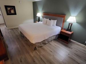 a large bed in a hotel room with two lamps at Ramada by Wyndham Houston Intercontinental Airport East in Humble