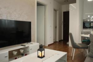 TV a/nebo společenská místnost v ubytování Apartman Ristanovic