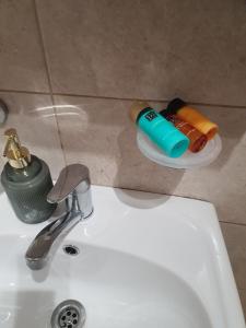 a sink with a faucet and two bottles on it at Studio Casa Ursu' in Predeal