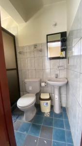 La salle de bains est pourvue de toilettes et d'un lavabo. dans l'établissement Edificio Geronimo, Pasillo Garosu, Hab 3, à Tarija