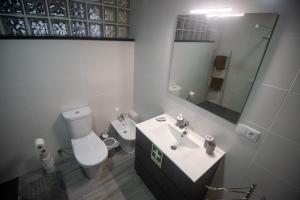 a bathroom with a toilet and a sink and a mirror at Vista do Tagarete in Vila Franca do Campo