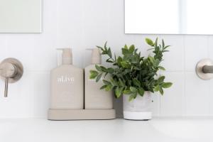 two bottles of laundry detergent and a plant on a counter at Surf Lodge Avoca Beach Waterfront to Avoca Lake in Avoca Beach +43 photos