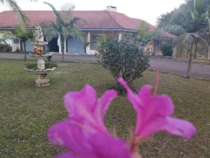 una flor púrpura delante de una fuente en un patio en Sítio na Praia da Itapeva, en Torres