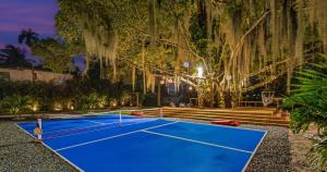 a tennis court with a tree in the background at New Hidden Gem in Miami