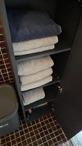 - un ensemble de serviettes dans une étagère dans une salle de bains dans l'établissement Vintage Apartment NEU, à Unterentfelden