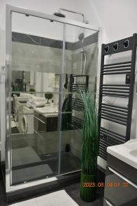 uma cabina de duche em vidro na casa de banho com um lavatório em Apartment near Old Town em Cracóvia