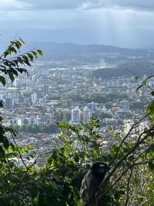 a view of a city from a tree at AP Abdon Central Temporada in Joinville