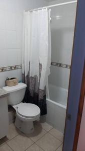 a white bathroom with a toilet and a shower at Departamento 2 Dormitorios 5 personas, excelente ubicacion in Temuco