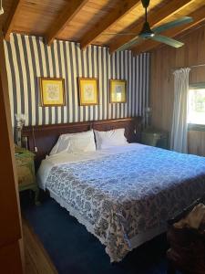 a bed in a bedroom with a striped wall at La Alegría in Alegre +39 photos