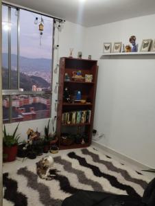 un perro tirado en una alfombra en una habitación con ventana en Welcome to Medellin in our home, en Medellín