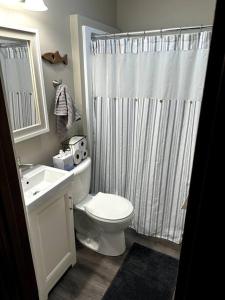 uma casa de banho com um WC e uma cortina de chuveiro em The Great River Retreat em New Albin