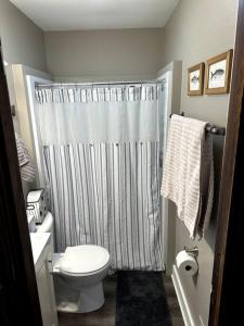 a bathroom with a toilet and a shower curtain at The Great River Retreat in New Albin
