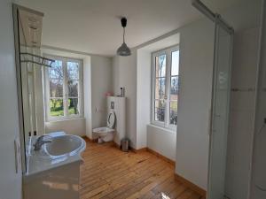 a bathroom with a sink and a toilet at Maison de maître au cœur du Berry avec étang privé, grand jardin et vaste propriété - FR-1-591-116 in Migné +18 photos