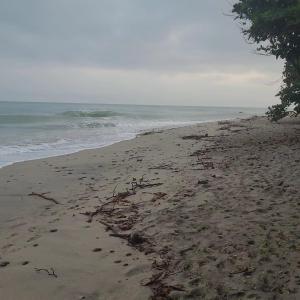Landskap semula jadi dekat dengan rumah tamu ini