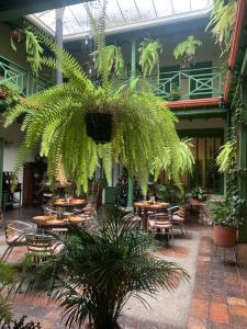 a courtyard with tables and plants in a building at Hotel Posada de San Agustin in Tunja