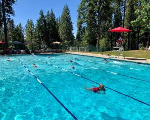 un grupo de personas nadando en una piscina en Sweet Retreat: Theater, Pool/Ping-Pong, Quiet!, en Camp Connell