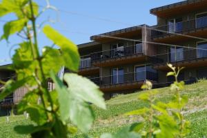 Zahrada ubytování Relax Residence Südsteiermark