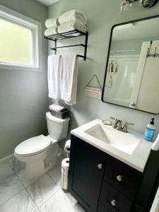 a bathroom with a toilet and a sink and a mirror at Avenue of the Giants Caraway Cottage (#3) in Miranda