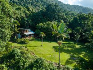 an aerial view of a house in the middle of a forest at Noah Creek Eco Huts in Cape Tribulation