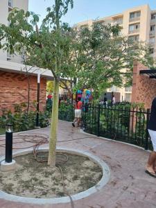 a tree in a courtyard next to a fence at apartamento en santa marta in Nuevo Amanecer