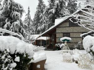 mary's cottages v zimě