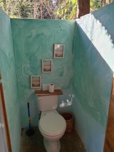 a bathroom with a toilet in a blue wall at El Puente in El Paredón Buena Vista