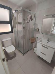une salle de bains avec douche, toilettes et lavabo dans l'établissement Estudio Urbano Parking free, à Malaga