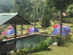 a group of tents in a park with a pond at ALAM RAYA CAMP in Curug 1