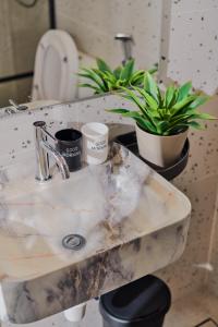 a bathroom sink with two potted plants on it at Rose Cottage by De'La Ferns in Tanah Rata