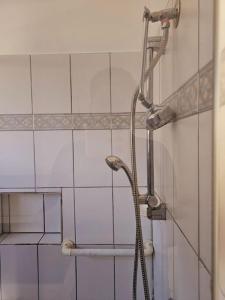 La salle de bains est pourvue d'une douche avec un tuyau. dans l'établissement Tranquil and cosy guest house, à Oakleigh East