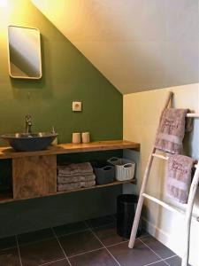 ein Bad mit einem Waschbecken und einem Spiegel in der Unterkunft Hoeve Hulsbeek: genieten van de natuur en de rust in Geetbets
