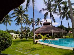 邦劳Commander Suites de Bohol的有游泳池和棕榈树的度假村