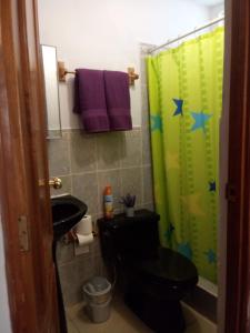 a bathroom with a toilet and a shower curtain with stars at Las Marias House in Choacorral
